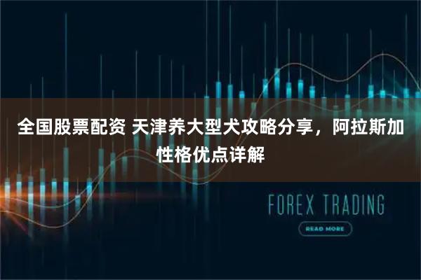 全国股票配资 天津养大型犬攻略分享，阿拉斯加性格优点详解
