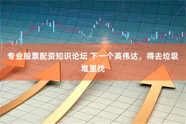专业股票配资知识论坛 下一个英伟达，得去垃圾堆里找